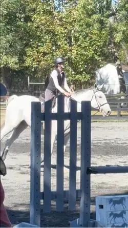 Horse Jumping Slomo