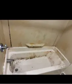 The queens are here!