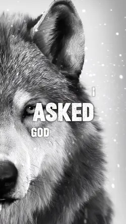 I asked god 