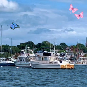 Newport 