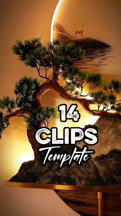 14 videos or photos 