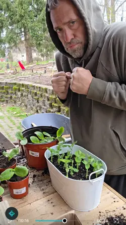 Gardening 
