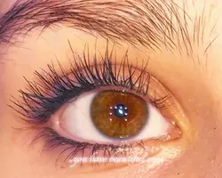 eyes