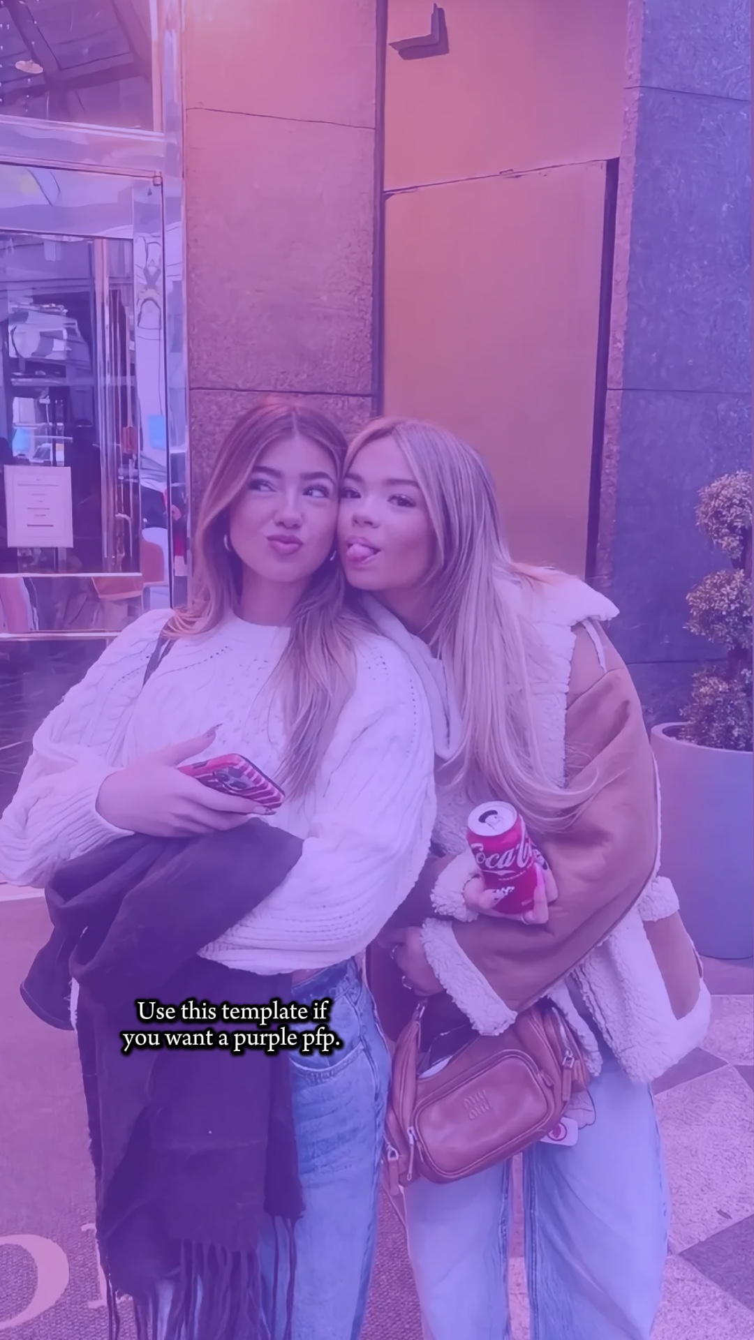 Mor Pfp 💜
