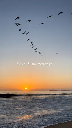 Coastal sunsets 