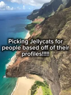 Jellycatssss
