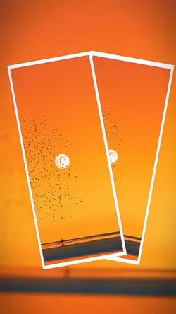 15 clip or photo
