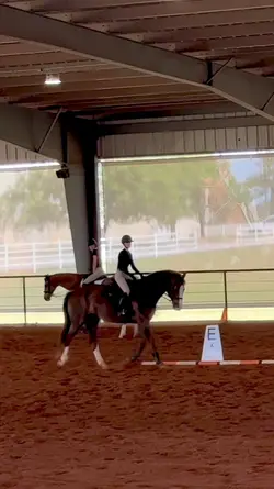 horsey #2