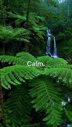 Calm