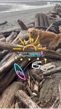 Summer wallpapers