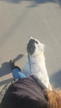 :3
