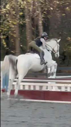 horse jumping slomo