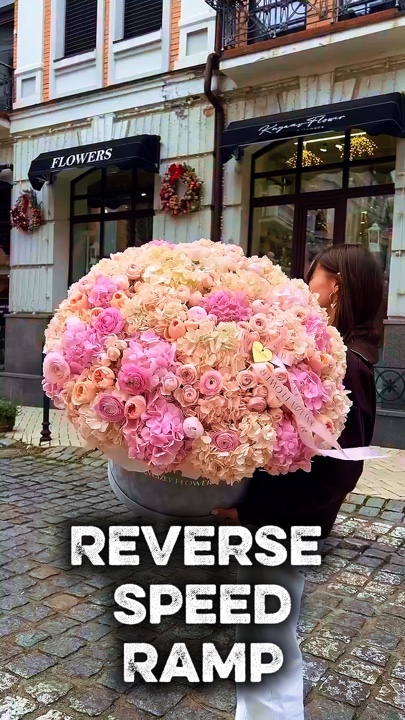 Rampa de velocidade reversa💚