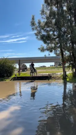 Surprise tmr FAKE Ai