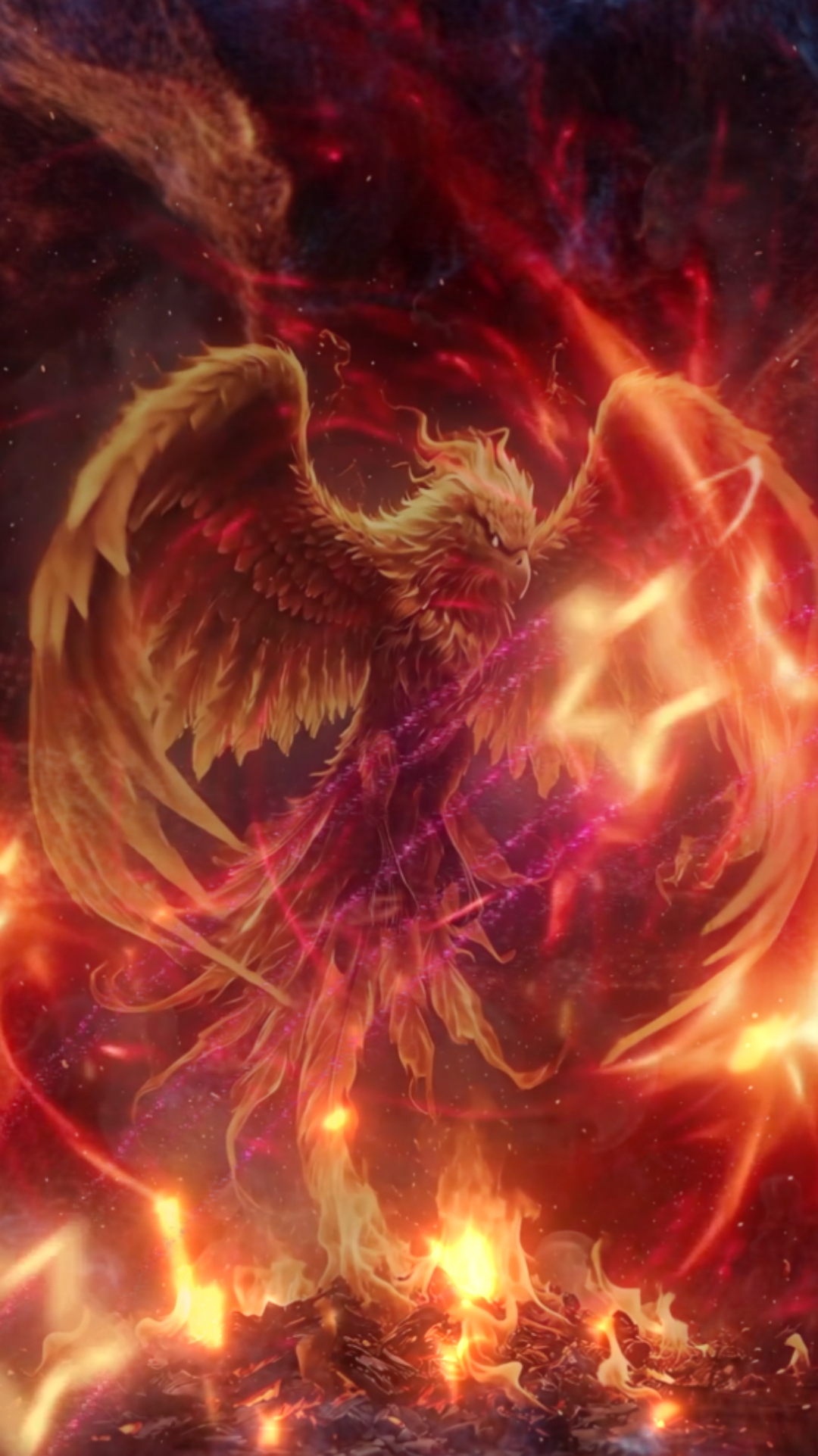 Intro Ave Fenix 