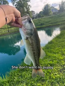 She want big dog