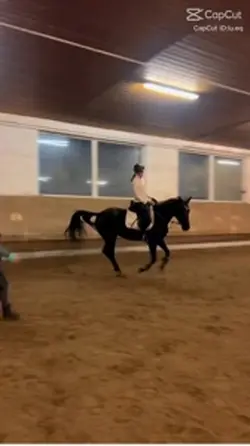 Horse riding 