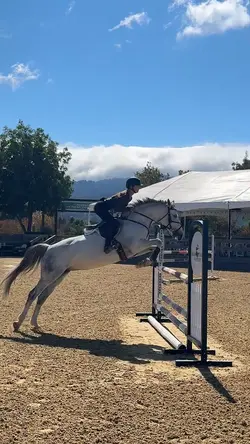 maui wowie ‼️⚠️FAKE⚠️‼️