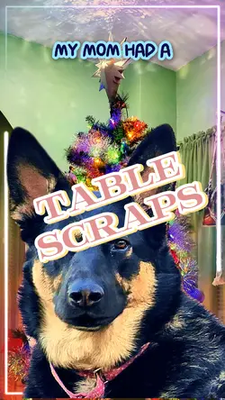 Table Scraps