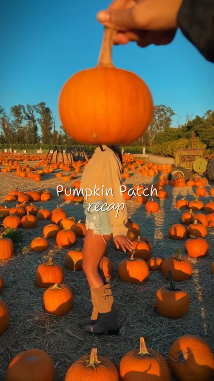 Parche de calabaza 🎃
