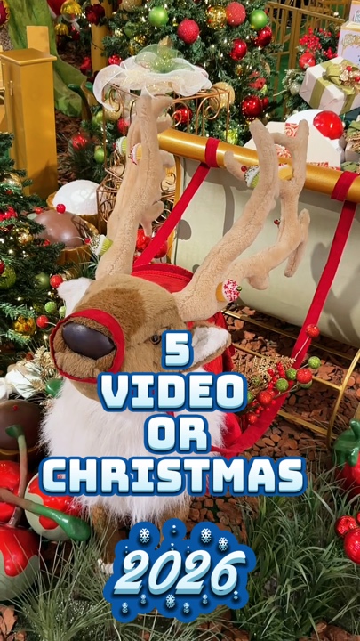 5 video new template