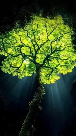 3D livewallpaper