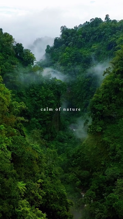 Calm of nature
