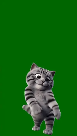Happy Grey Tabby Cat