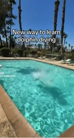 dolphin diving 🏐🤍