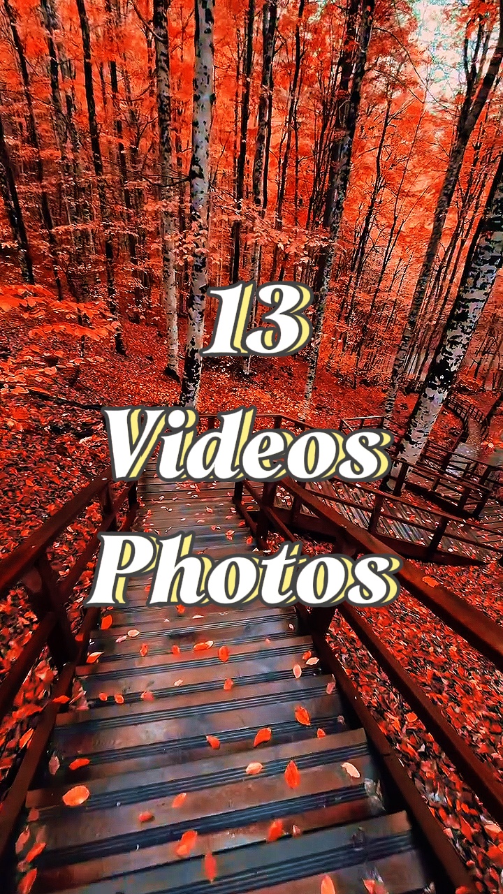 13 Videos O Fotos 