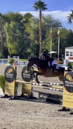 Buddy🥺🖤HORSE EDIT🔥❤️