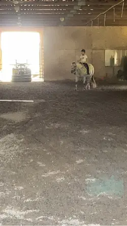I miss my spotted DC