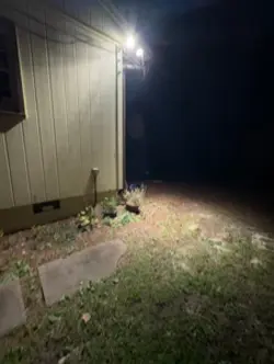 The rabbit.
