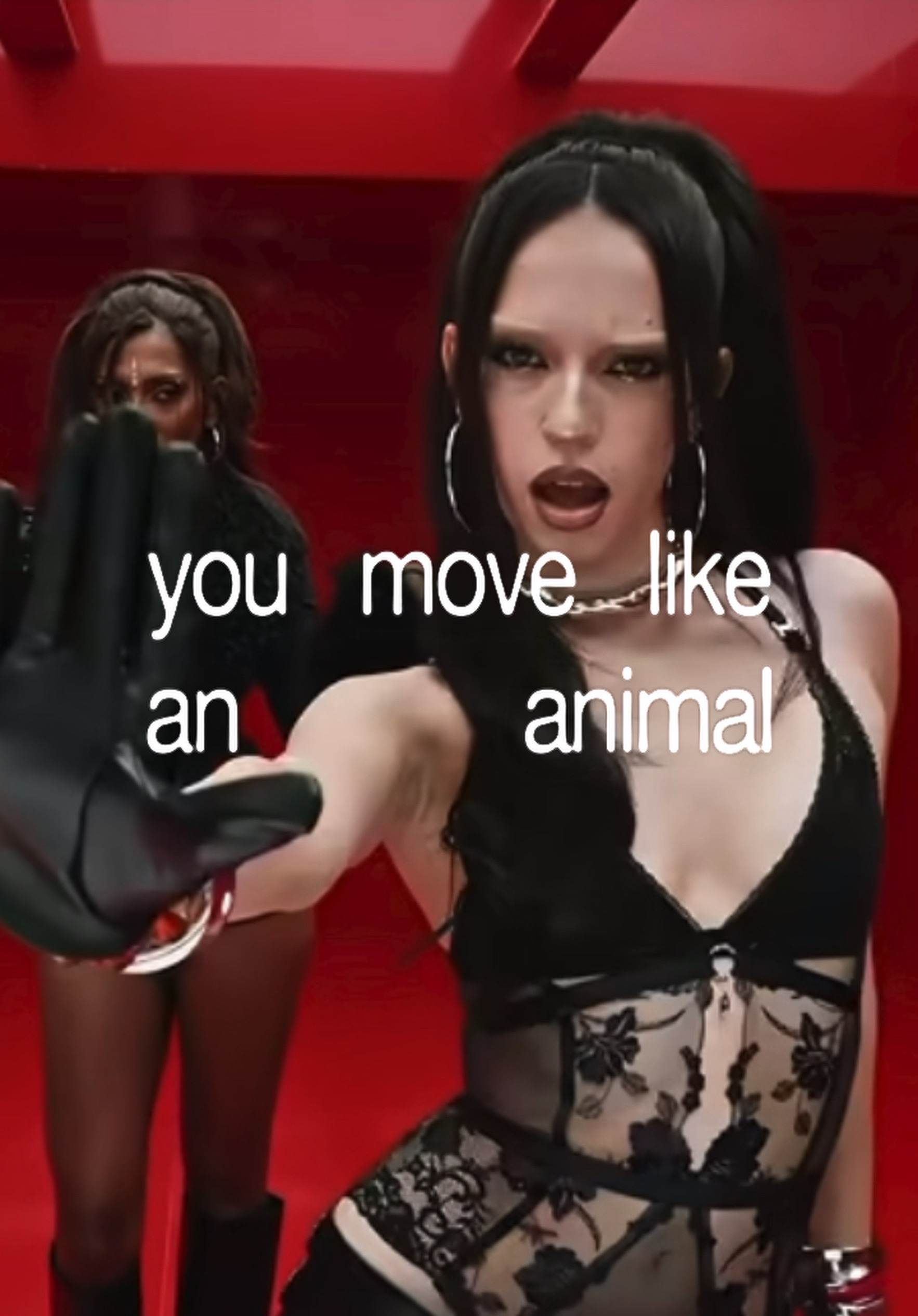 animal - katseye 