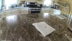 Rib Membrane Remover