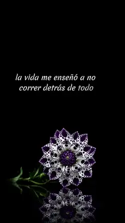 La vida me enseñó