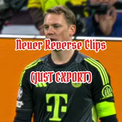 Neuer Reverse Clips