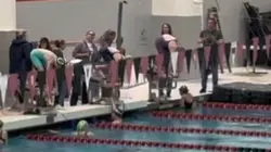 Diving 