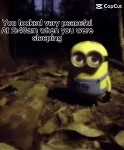 Minion meme