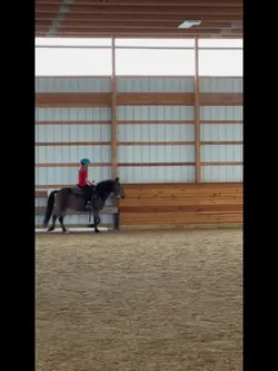 MY IDEA (this lowk t