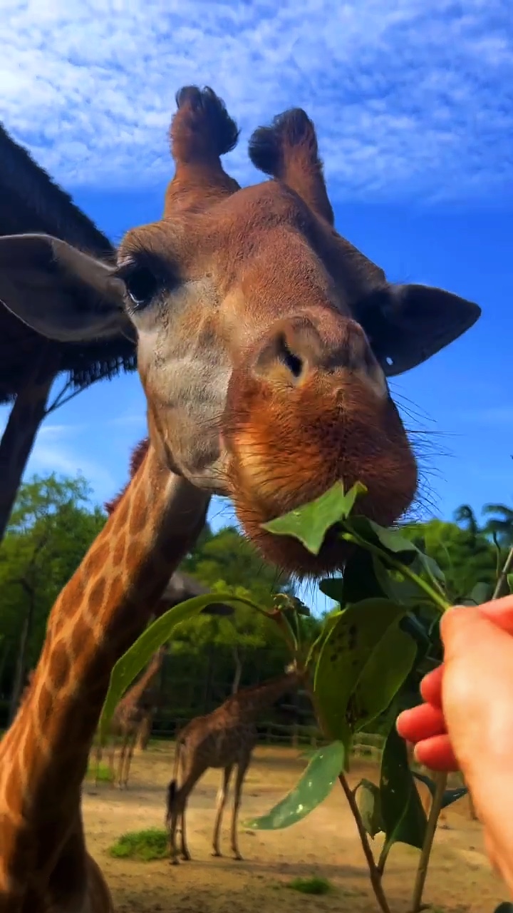 Zoo