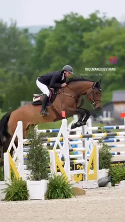 Pretty horse