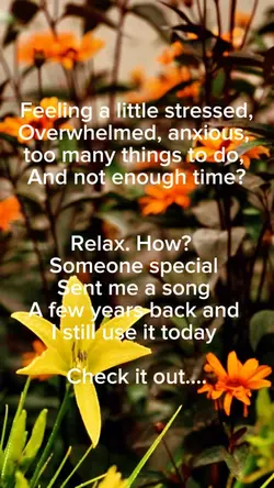 DONTWORRY