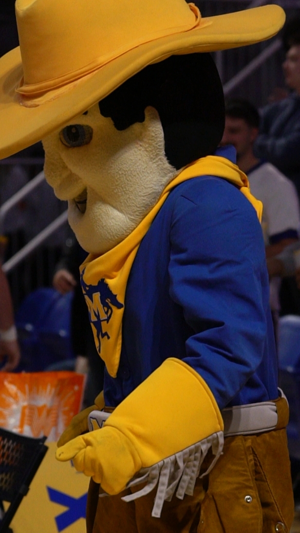 Rowdy o P