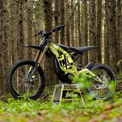 ebike