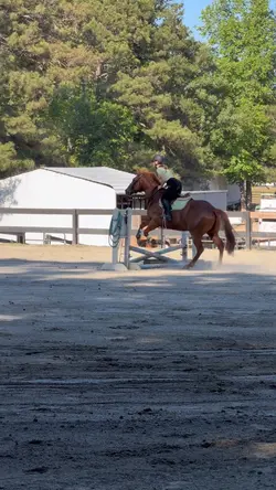 SHOWING THIS WEEKEND