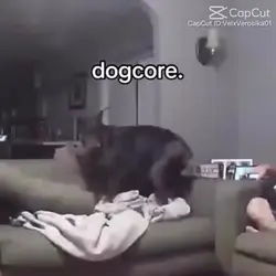 Dog core
