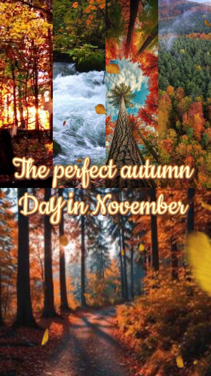 Travel in fall 