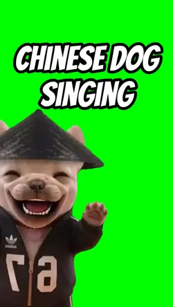 Chinese dog sing 