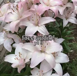 free audio pt 9!